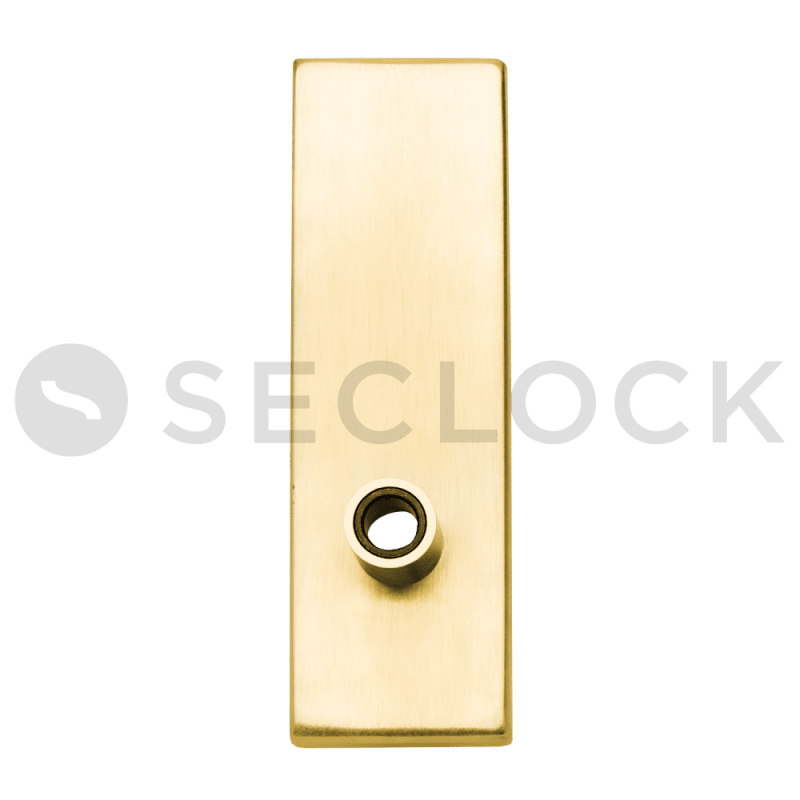 Schlage 09-636N 605 Outside Blank x Lever N Escutcheon & Bushing, Bright Brass